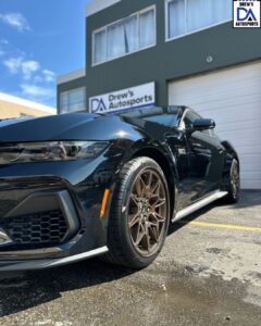 Untitled design (29)