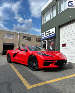 Untitled design (31)