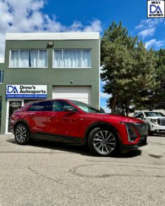 Untitled design (33)