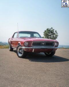 Untitled design (35)